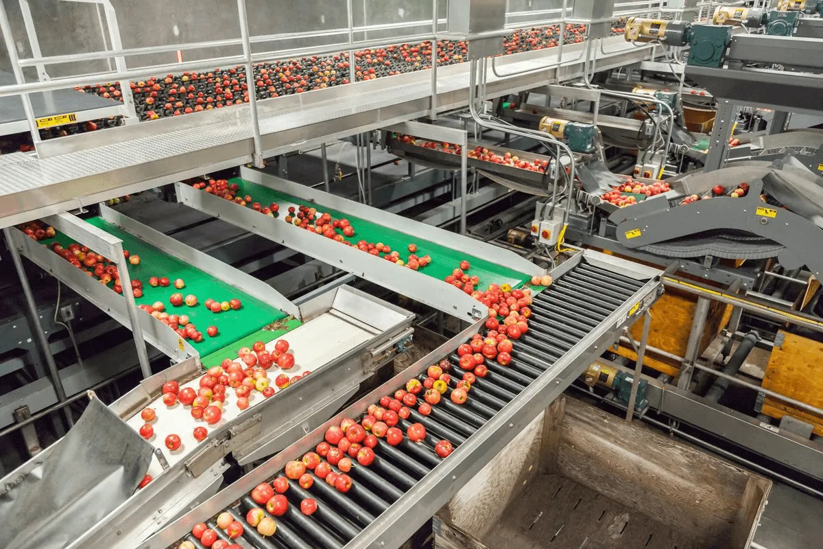Food processing production line